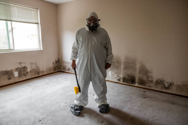 Best Toxic Mold Removal  in Fishers, IN